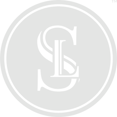 Sagacity Icon
