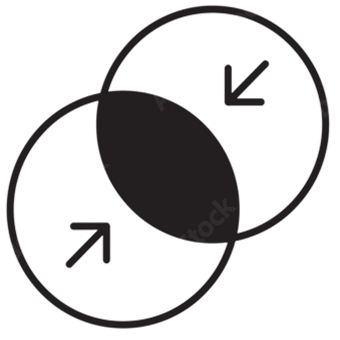 POST ACQUISITION PORTFOLIO INTEGRATION-ICN